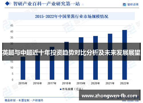 英超与中超近十年投资趋势对比分析及未来发展展望