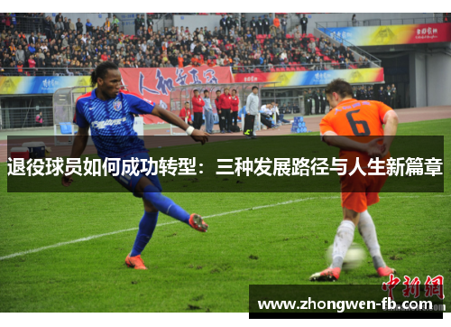 退役球员如何成功转型：三种发展路径与人生新篇章