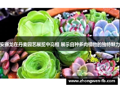 安赛龙在丹麦园艺展览中亮相 展示自种多肉植物的独特魅力 安赛龙在丹麦园艺展览中亮相 展示自种多肉植物的独特魅力