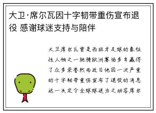 大卫·席尔瓦因十字韧带重伤宣布退役 感谢球迷支持与陪伴